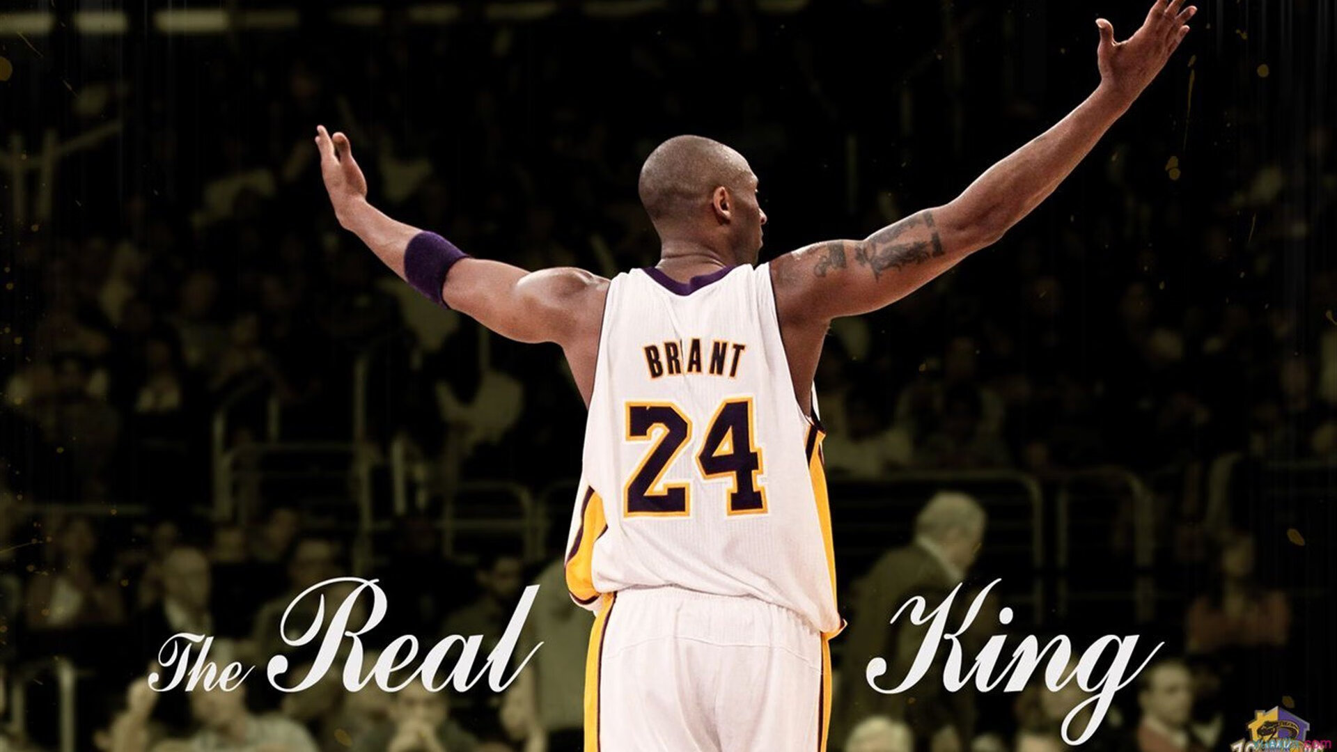 【场地环境影响】不同场馆如何影响比赛表现,场地环境对裁判员有什么影响